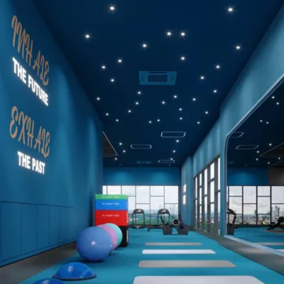 Cosmic Wellness Studio
